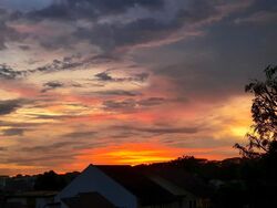 Sunrise Gardens (D28), Condominium #503878911